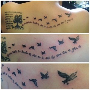 10513758_263435867182294_517357044_n