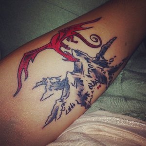 10665551_493600447448824_1313358196_n