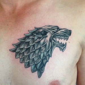 1737555_1706267199597780_1206097324_n